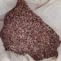 لوبیا چیتی