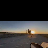 اسب عرب