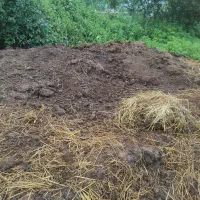 کود حیوانی