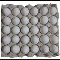 تخم مرغ 165