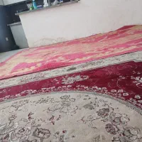 اجاره ویلایی ۴۰ متری