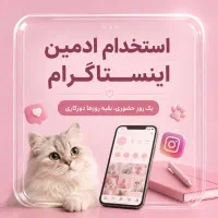 استخدام ادمین اینستاگرام (نیمه‌حضوری + دورکاری)