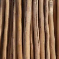 خرید چوب|خدمات باغبانی و درختکاری|نهاوند, |دیوار