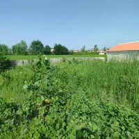 زمین عالی برای سرمایه گذاری اقساط ۸ ماهه