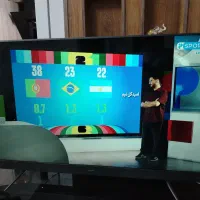 تلوزیون