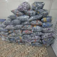 بالشت|رختخواب، بالش، پتو|شهرکرد, |دیوار