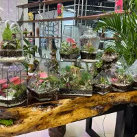 تراریوم،پالاداریوم