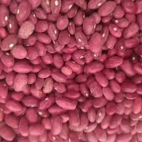 لوبیا قرمز و عدس محلی