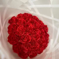 ۲۵ شاخه گل رز اماده ارسال