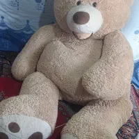 خرس بزرگ  نونو