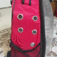 کوله پشتی پت