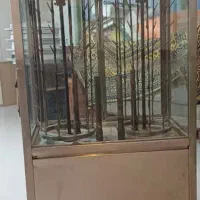 رون گردون جوجه گردون