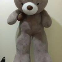 خرس بزرگ