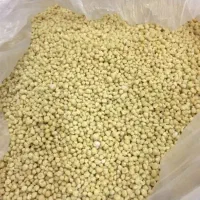 کودسیاه|گل و گیاه طبیعی|دهدشت, |دیوار