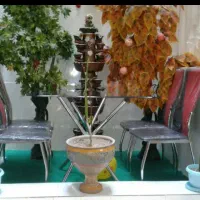 دوتا درختچه و آبشار