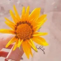 آموزش طب سنتی