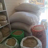 مغازه خوراک دام و طیور