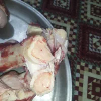 قلمه تازه تازه پرمغز وغضروفی