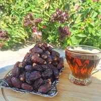 فروش ویژه ۳ نوع خرما