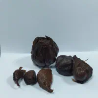سیر ترشی 7 ساله خونگی