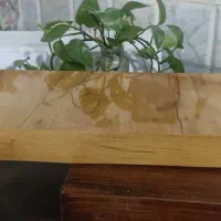 شلف دیواری و ایستاده کتابخانه و میز تی‌وی