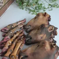 کله پاچه گوسفند