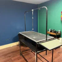 میز گرومینگ / میز اصلاح پت / سشوار حیوانات