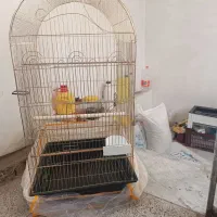 قفس بزرگ