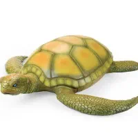 فیگور نرم لاکپشت