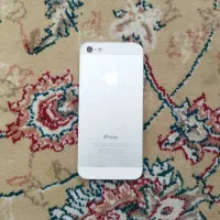 iPhone5|موبایل|قم, نیروگاه|دیوار