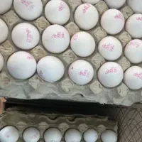تخم مرغ زیرقیمت بازار