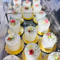 انواع کیک و شیرینی یلدا و روز مادر خشک کیفیت خوب