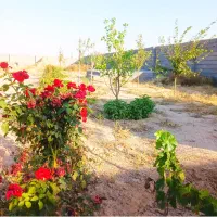 1000متر-باغ-ویلا-استخر-دار-مرتب-سند-ملکی