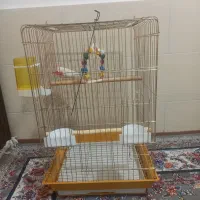 ۲عدد قفس بزرگ وکوچک باوسایل عروس هلندی