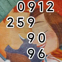 96 90 259 0912