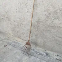 یاوا|حراج|همدان, |دیوار