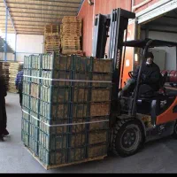 کارگر جهت کار و نگهبانی در سردخانه