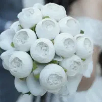 آتلیه فیلم و عکس ترنم