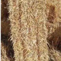 کاه قالبی درجه یک