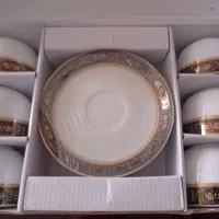 ظروف پذیرایی