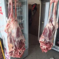 قصاب برای قربان