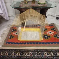 قفس عروس هلندی کاسکوومرغ مینا