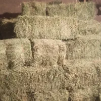 پرس یونجه چن 2فروشی