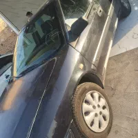 زانتیا کلکسیونی بدون رنگ