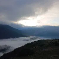 تور آفرودی جنگل