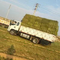 پرس یونجه و یونجه خورد شده شلیف