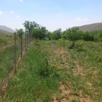 فروش باغ|فروش زمین و ملک کلنگی|نوبران, |دیوار