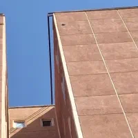 عروس هلندی گمشده طوس ماده