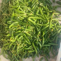 خیار ریز مخصوص خیار شور