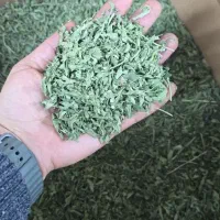 نعنا برگ سورت شده
